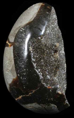 Septarian Dragon Egg Geode - Black Crystals #58802